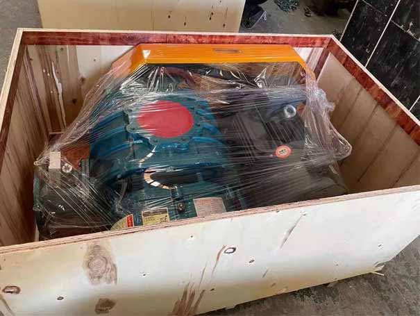 羅茨鼓風(fēng)機 發(fā)貨吉林羅茨鼓風(fēng)機XQSSR150V1臺(圖1)